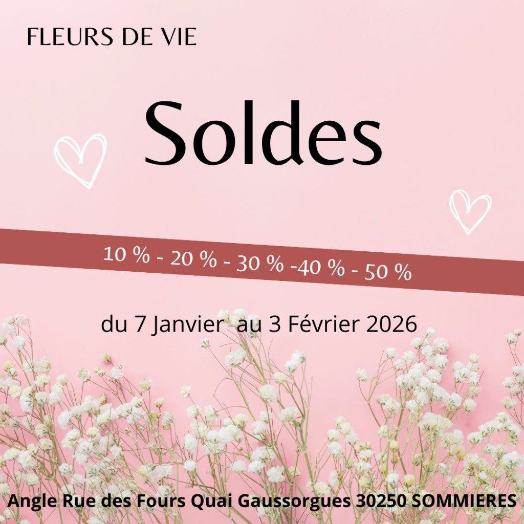 soldes.jpg